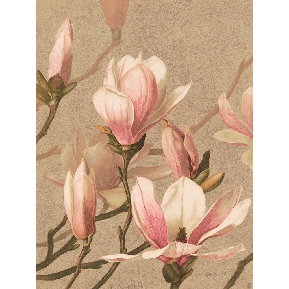 Antique Botanical Collection 4 by Stellar Design Studio-VARPDXSDS952 Image 1