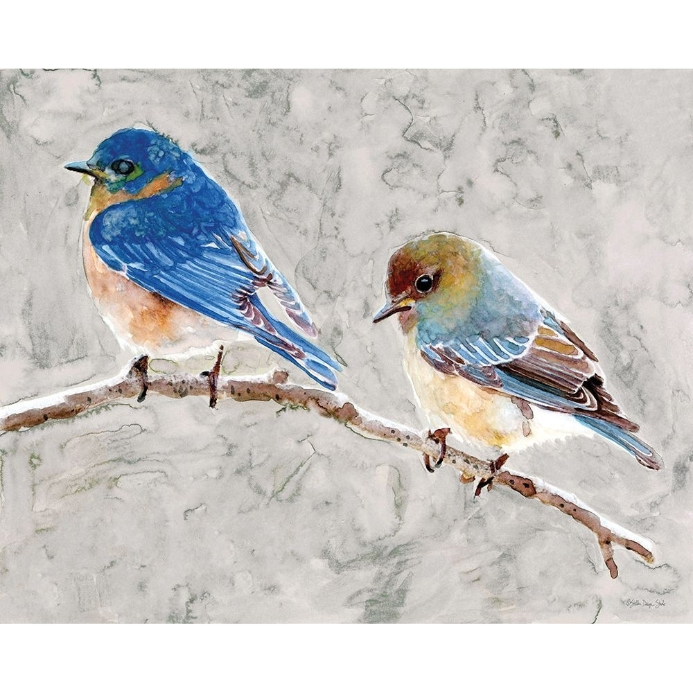 Eastern Bluebirds 1 by Stellar Design Studio-VARPDXSDS991 Image 1