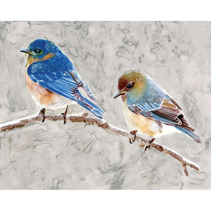 Eastern Bluebirds 1 by Stellar Design Studio-VARPDXSDS991 Image 1