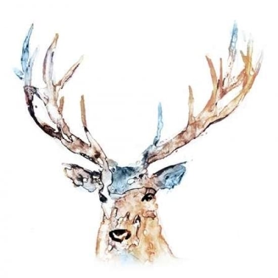 Watercolour Reindeer Poster Print by Edward Selkirk-VARPDXSE066A Image 2