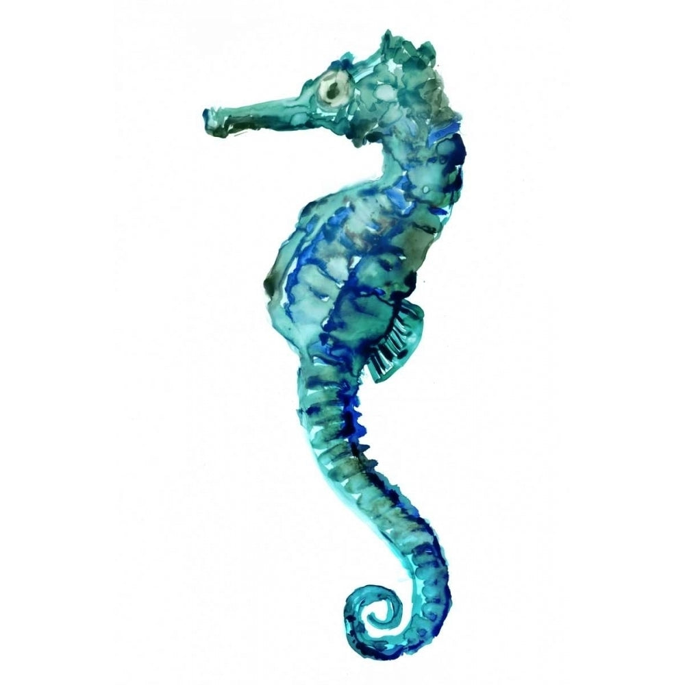 Sea Horse Poster Print by Edward Selkirk-VARPDXSE294A Image 1