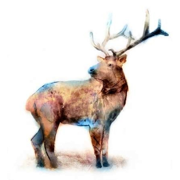 Elk Poster Print by Edward Selkirk-VARPDXSE118A Image 1