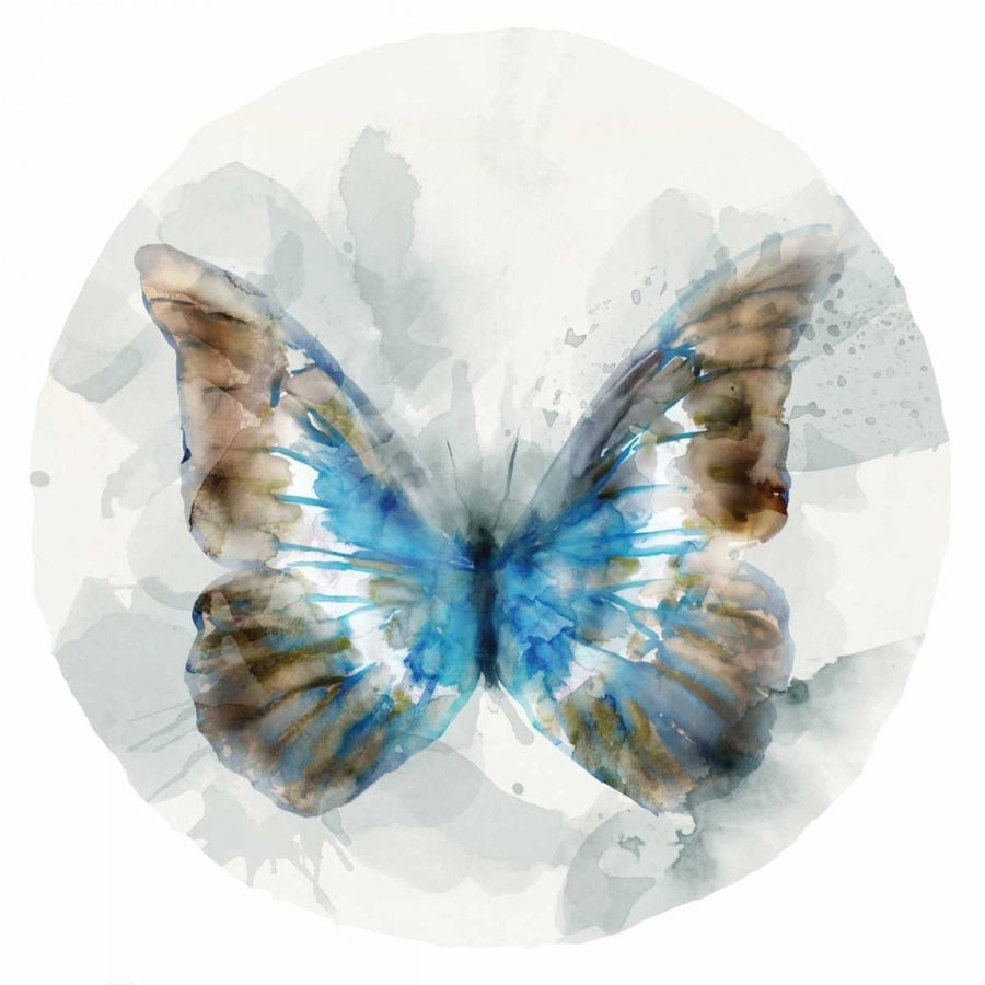 Indigo Butterfly II Poster Print by Edward Selkirk-VARPDXSE299A Image 1