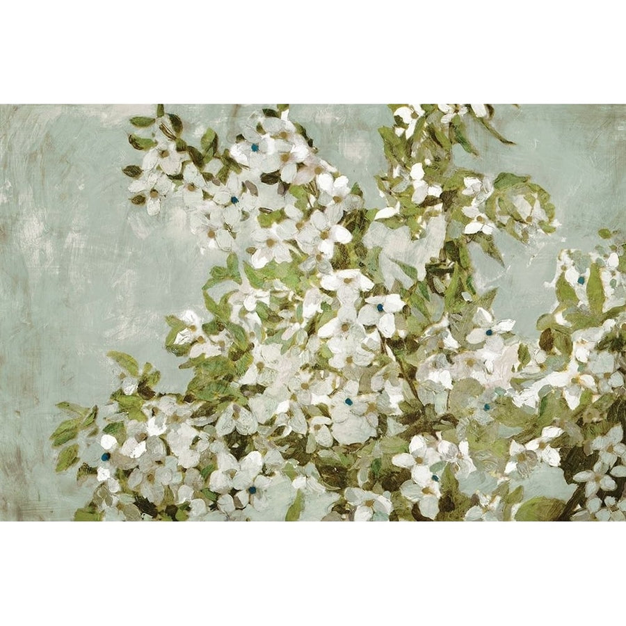 Mint Blossom Poster Print by Edward Selkirk-VARPDXSEL68 Image 1