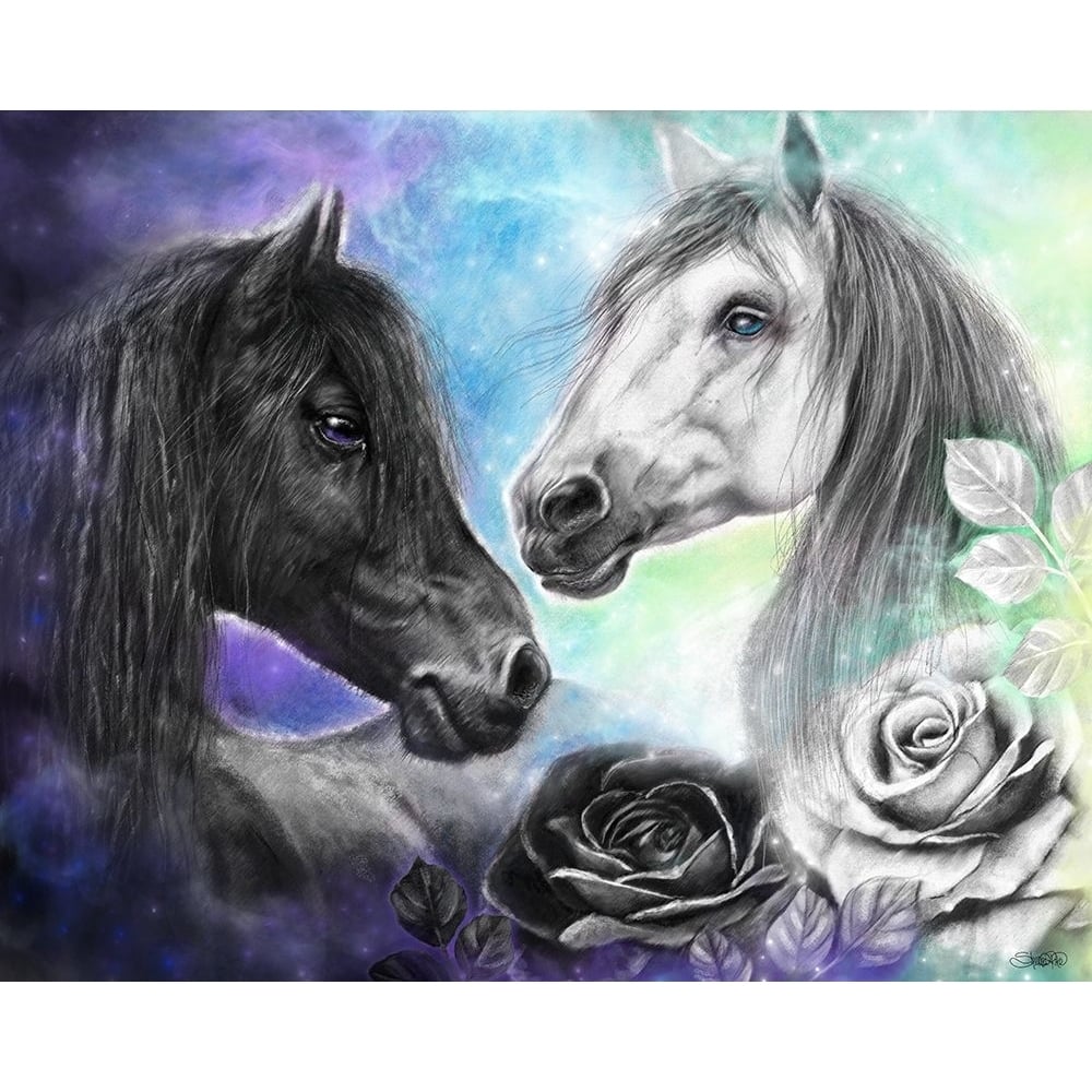 Opposites Attract - Light and Dark Horse Poster Print - Pike Art Sheena-VARPDXSHEPIK259752 Image 1