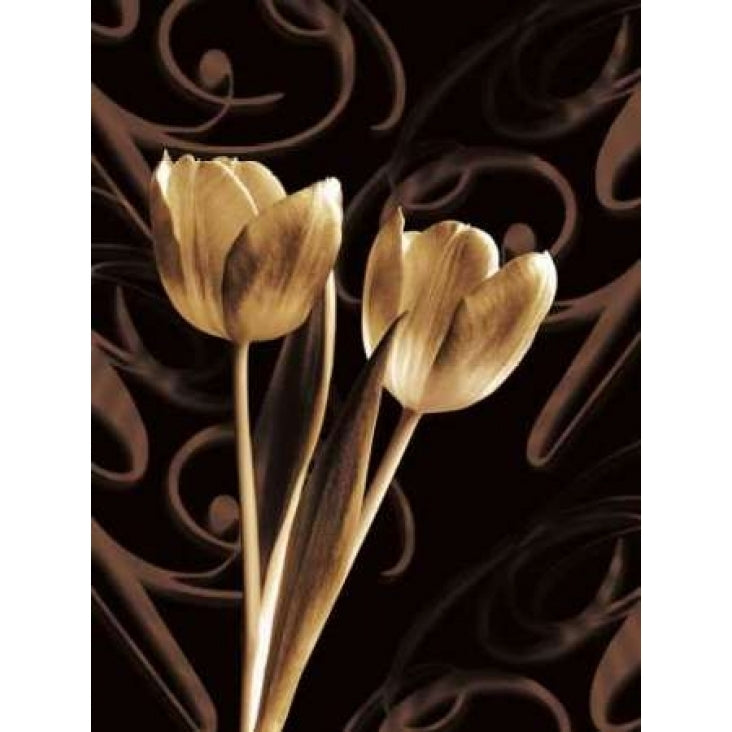 Floral Eloquence I Poster Print by Ily Szilagyi-VARPDXSIP221 Image 1