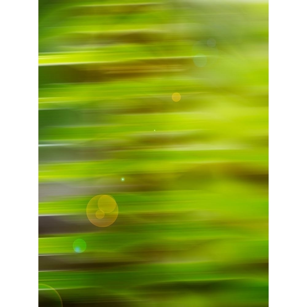 Abstract green flora Poster Print by Savanah Plank-VARPDXSK113956 Image 1