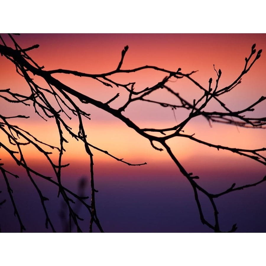 Abstract Sunset Poster Print by Savanah Plank-VARPDXSK113988 Image 1