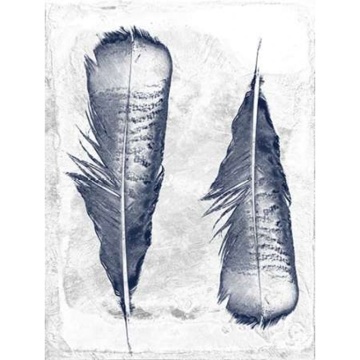 Feather Duo Poster Print by Sheldon Lewis-VARPDXSLBRC221B Image 2