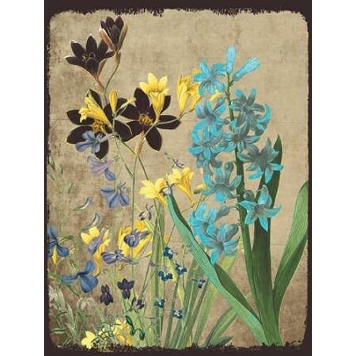 Fresh Meadow Bloom Poster Print by Sheldon Lewis-VARPDXSLBRC278A Image 1