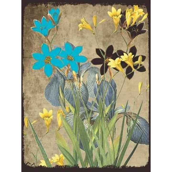 Meadow Bloom Poster Print by Sheldon Lewis-VARPDXSLBRC278B Image 1