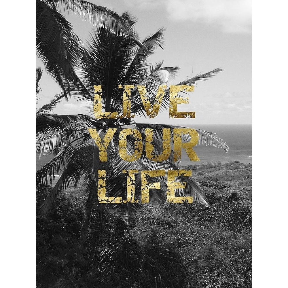 Live Your Life Poster Print by Sheldon Lewis-VARPDXSLBRC283B Image 2