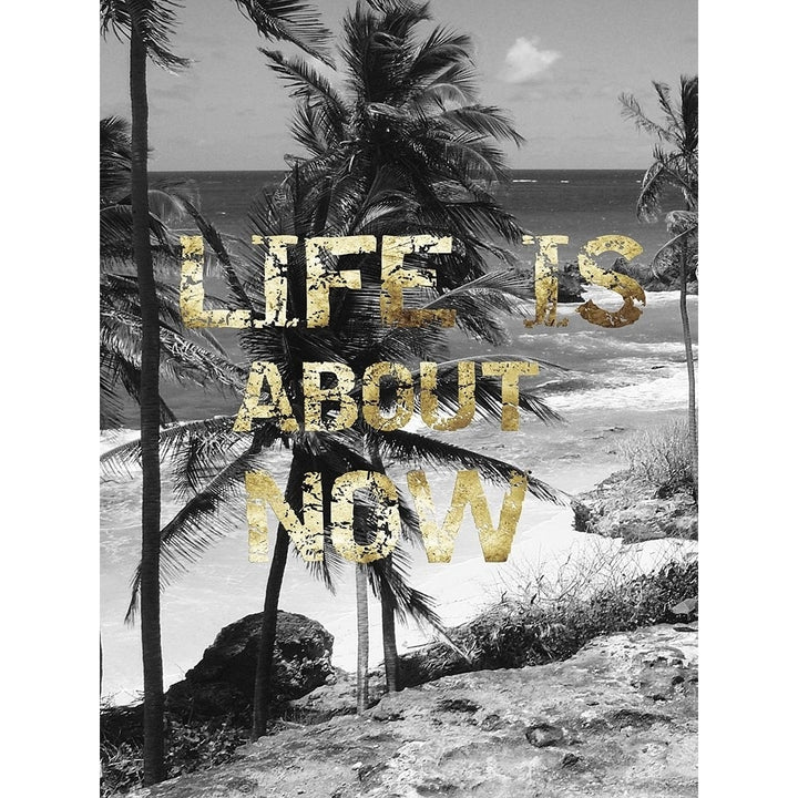 Life is About Now Poster Print by Sheldon Lewis-VARPDXSLBRC283A Image 1