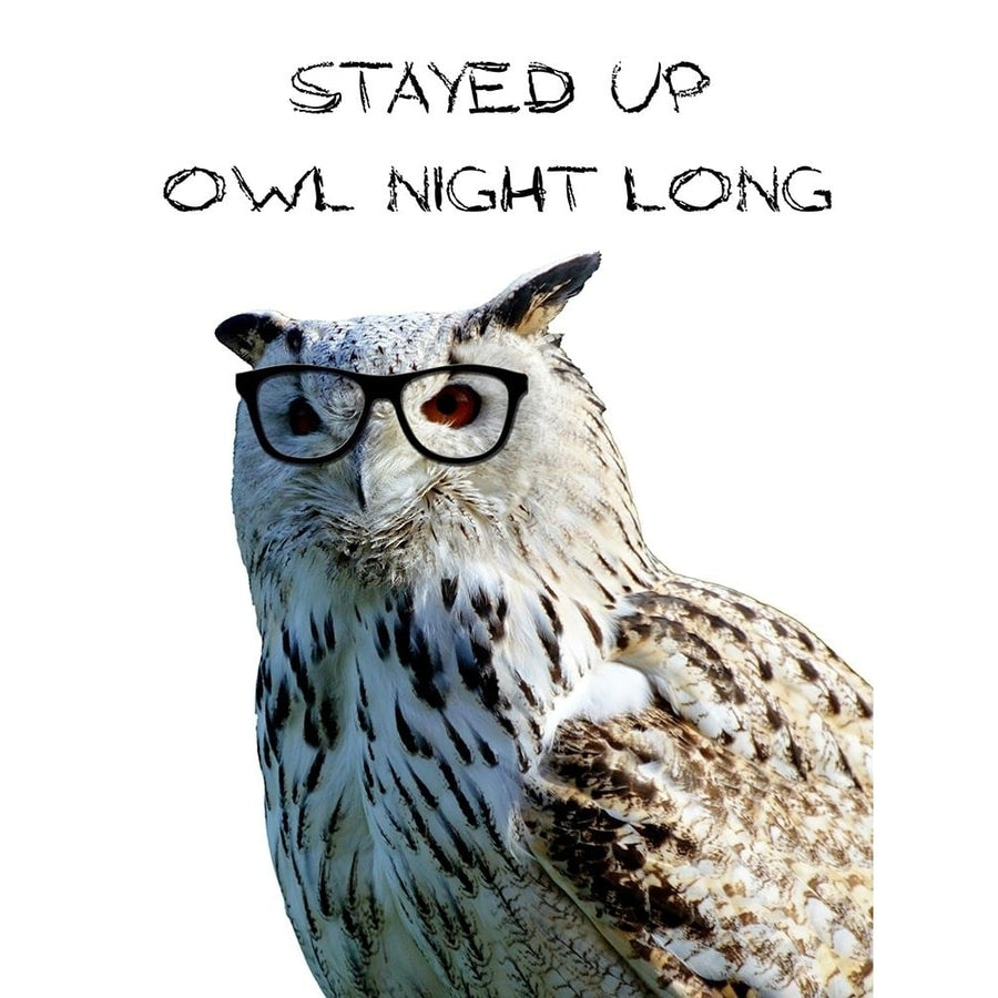 Owl Night Poster Print by Sheldon Lewis-VARPDXSLBRC799A Image 1