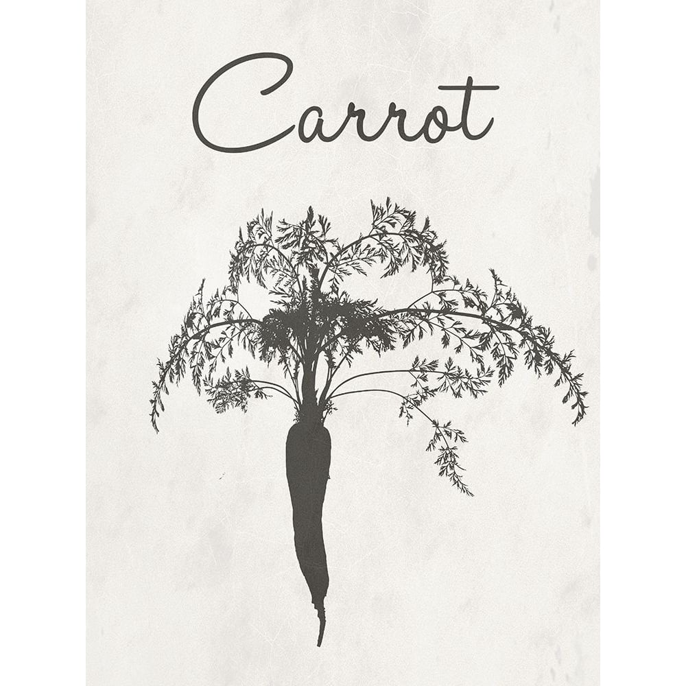 Carrot Farm Botanical Poster Print by Sheldon Lewis-VARPDXSLBRC860A Image 1