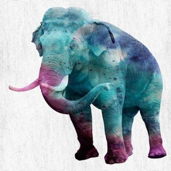 Gentle Elephant Poster Print by Sheldon Lewis-VARPDXSLBSQ229A Image 2