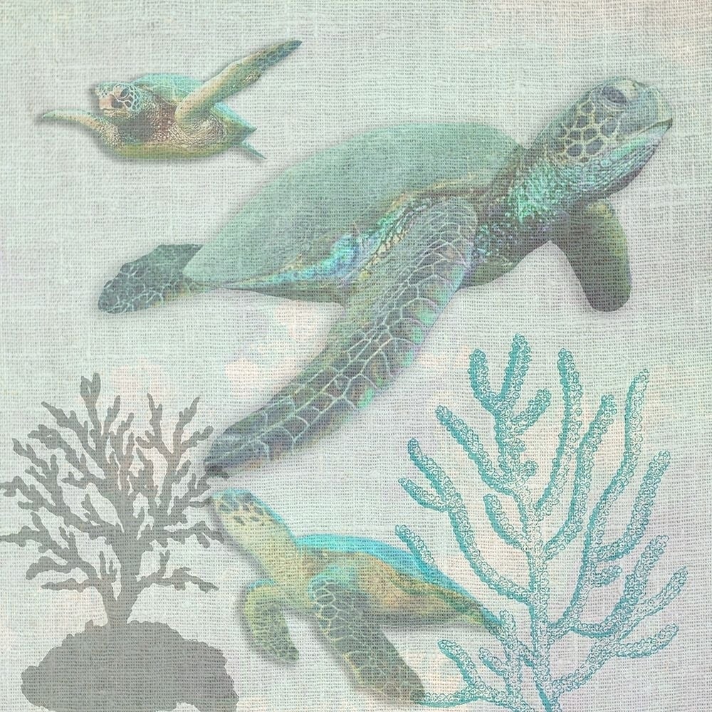 Turtles Poster Print by Sheldon Lewis-VARPDXSLBSQ663A Image 1