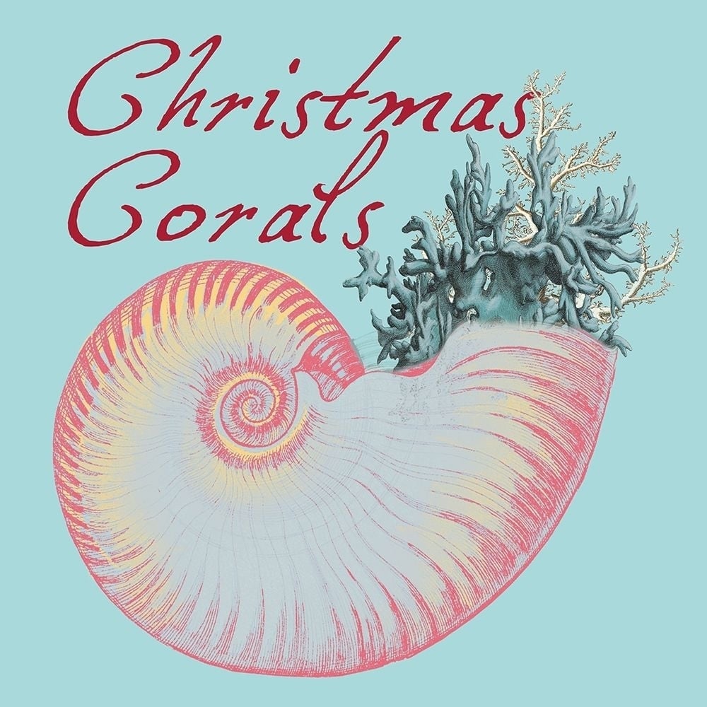 Christmas Corals Poster Print by Sheldon Lewis-VARPDXSLBSQ718A Image 1