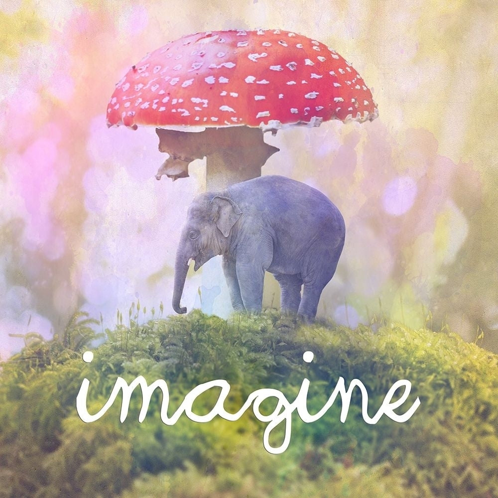 Imagine Poster Print by Sheldon Lewis-VARPDXSLBSQ754A Image 1