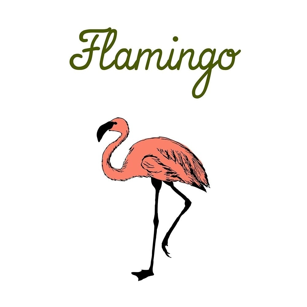 Flamingo Poster Print by Sheldon Lewis-VARPDXSLBSQ761B Image 1