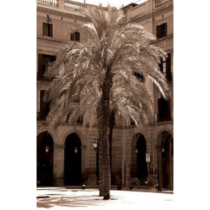 Canary Palm Barcelona Poster Print by Cyril Blue-VARPDXSLP06 Image 1