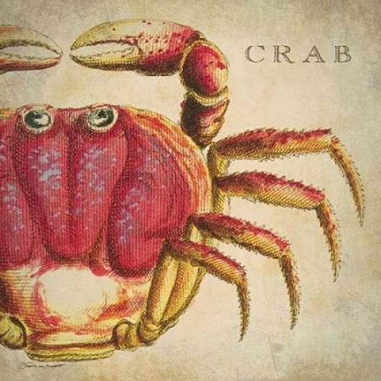 Red Crab Poster Print by Stephanie Marrott-VARPDXSM10137 Image 1