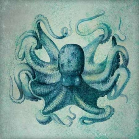 Octopus Poster Print by Stephanie Marrott-VARPDXSM10184 Image 1