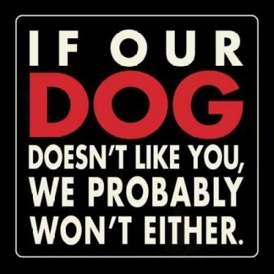 Our Dog Poster Print by Stephanie Marrott-VARPDXSM10507 Image 1