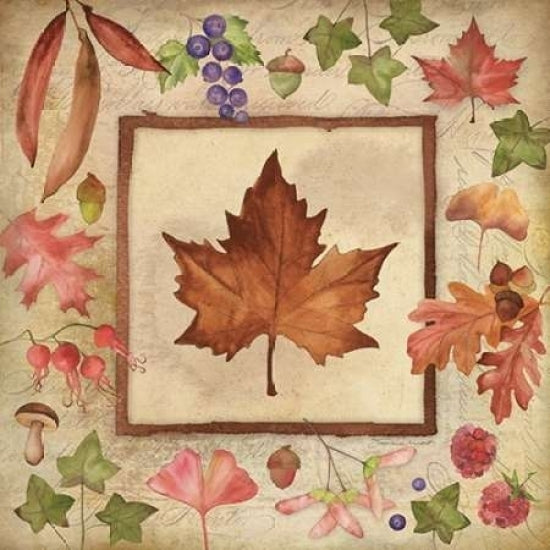 Maple of Fall 1 Poster Print by Stephanie Marrott-VARPDXSM15401 Image 2