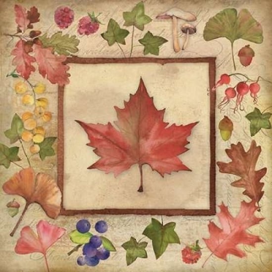 Maple of Fall 2 Poster Print by Stephanie Marrott-VARPDXSM15402 Image 2