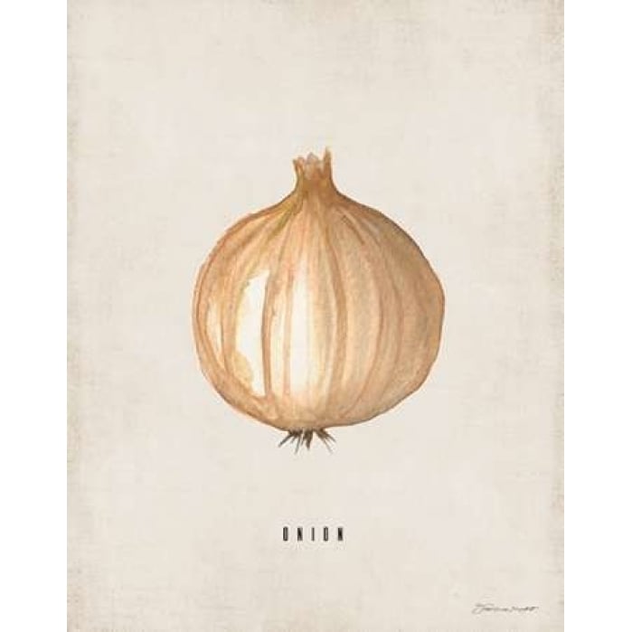 Onion Poster Print by Stephanie Marrott-VARPDXSM15517 Image 1