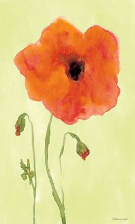 Poppyface Poster Print by Stephanie Marrott-VARPDXSM15612 Image 1