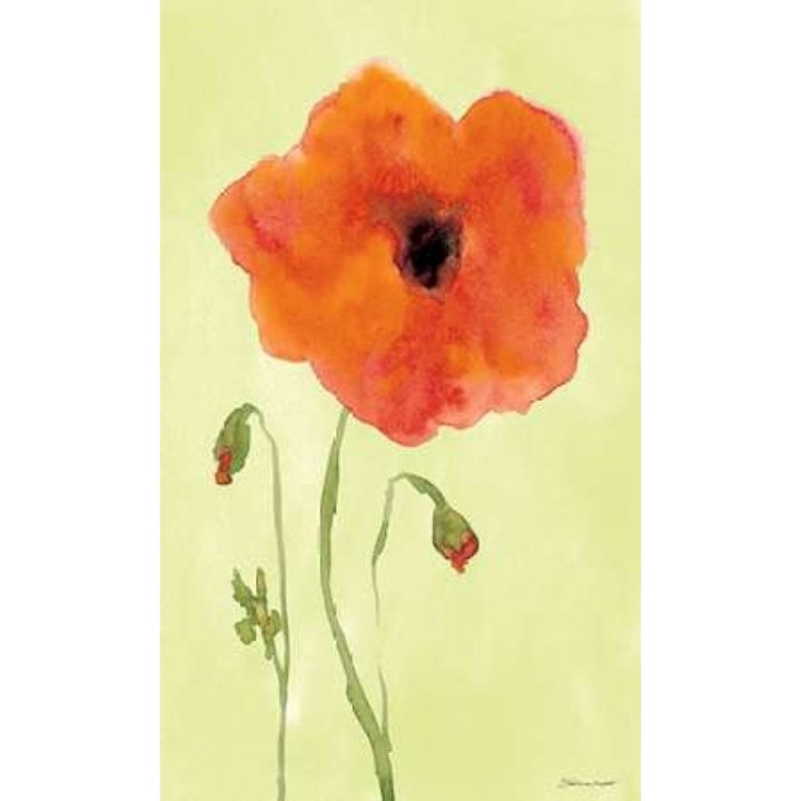 Poppyface Poster Print by Stephanie Marrott-VARPDXSM15612 Image 2