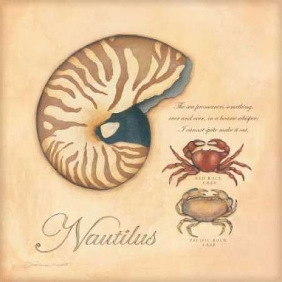 Nautilus Poster Print by Stephanie Marrott-VARPDXSM5746 Image 1