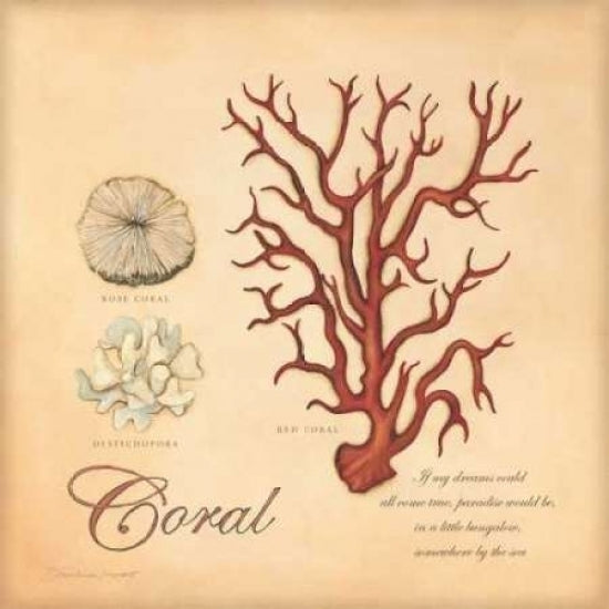 Coral Poster Print by Stephanie Marrott-VARPDXSM5739 Image 2