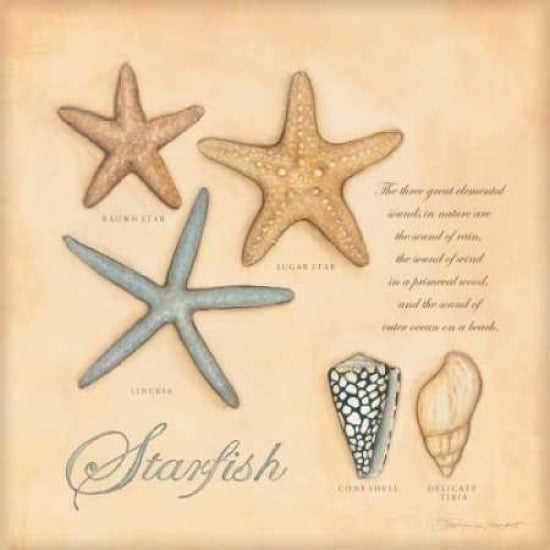 Starfish Poster Print by Stephanie Marrott-VARPDXSM5747 Image 1