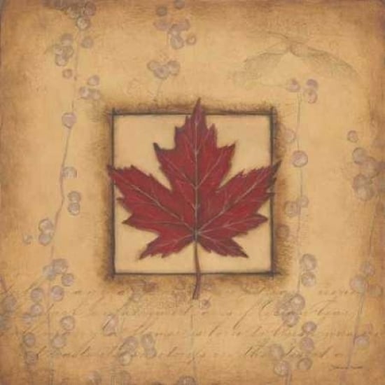 Maple Leaf Poster Print by Stephanie Marrott-VARPDXSM7645 Image 1