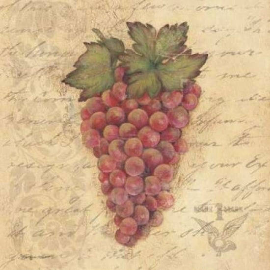 Grapes III Poster Print by Stephanie Marrott-VARPDXSM7734 Image 1