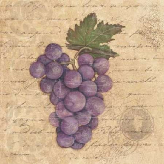 Grapes I Poster Print by Stephanie Marrott-VARPDXSM7732 Image 1