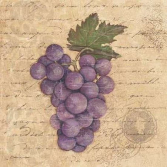 Grapes I Poster Print by Stephanie Marrott-VARPDXSM7732 Image 2