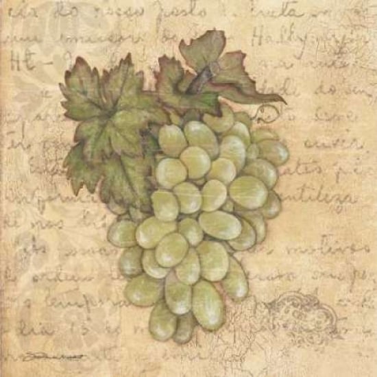 Grapes IV Poster Print by Stephanie Marrott-VARPDXSM7735 Image 1