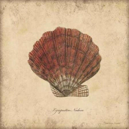 Shells II Poster Print by Stephanie Marrott-VARPDXSM7741 Image 2