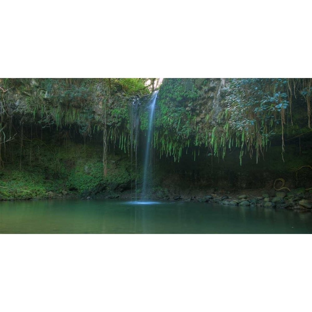 Twin Falls - Maui Poster Print by Scott Bennion-VARPDXSN112020DG Image 1