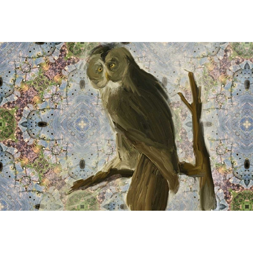 Wise Owl Poster Print by Sarah Butcher-VARPDXSRRC039A Image 1