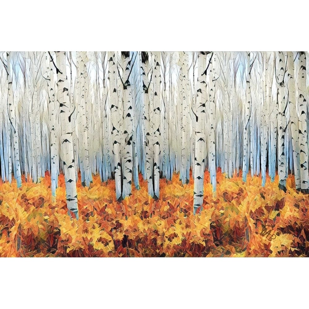 Birch Forest Poster Print by Sarah Butcher-VARPDXSRRN010A Image 1