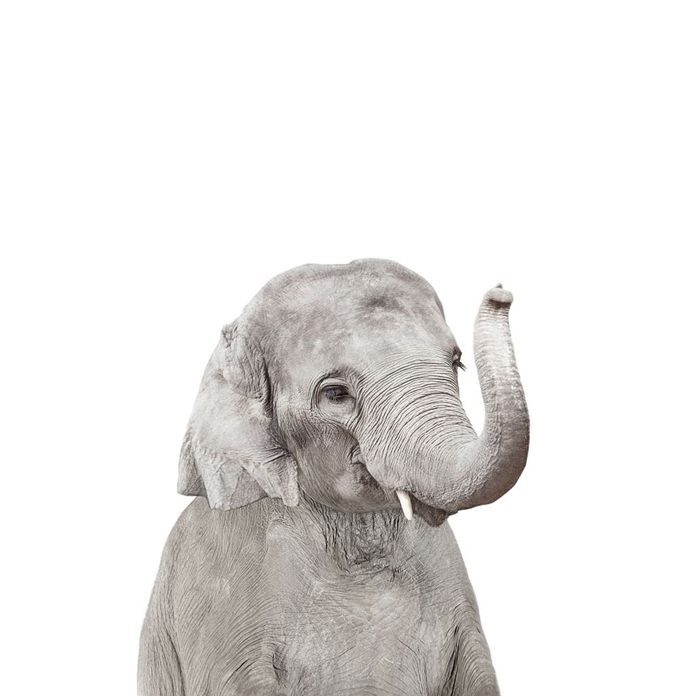 Baby Elephant Poster Print - and Seb Sisi-VARPDXSS0028 Image 1