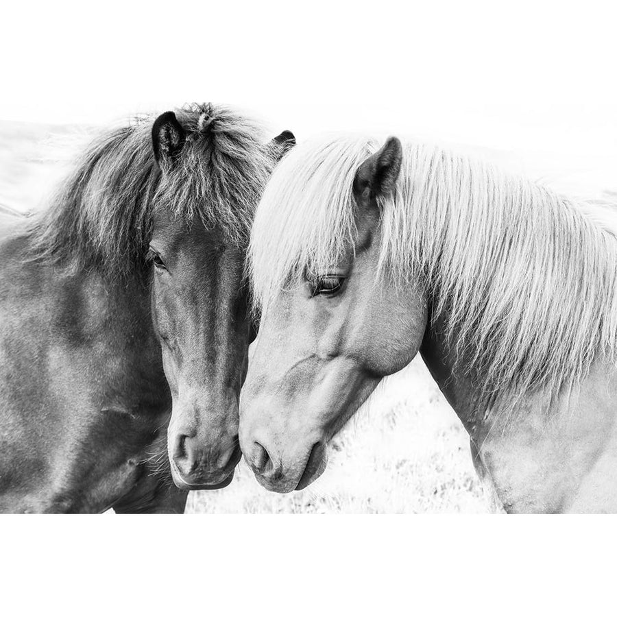 Horse Love Poster Print - and Seb Sisi-VARPDXSS0161 Image 1