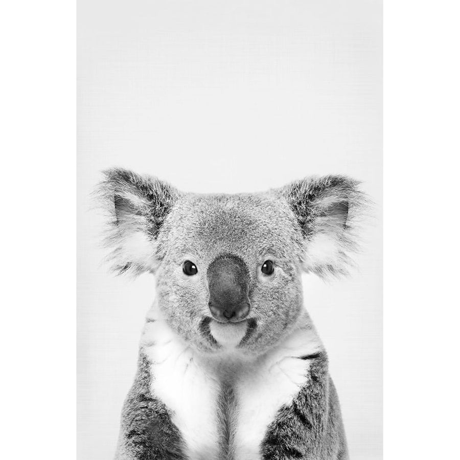 Koala Poster Print - and Seb Sisi-VARPDXSS0181 Image 1