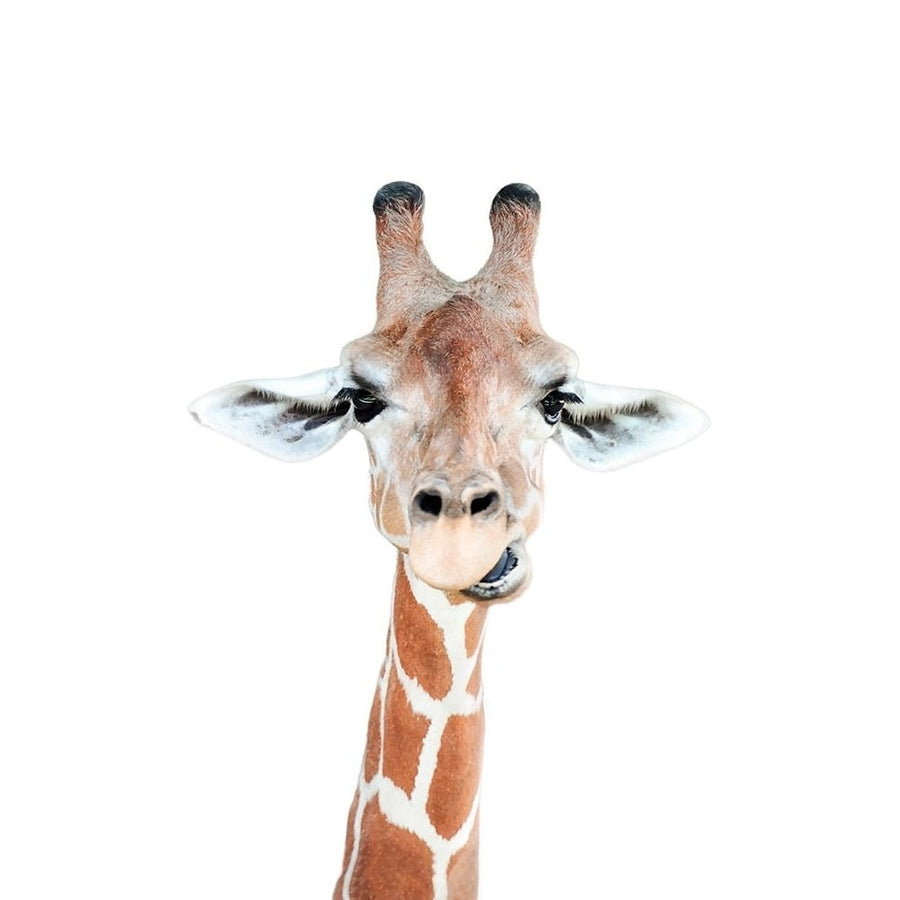 Happy Giraffe Poster Print - and Seb Sisi-VARPDXSS0152 Image 1