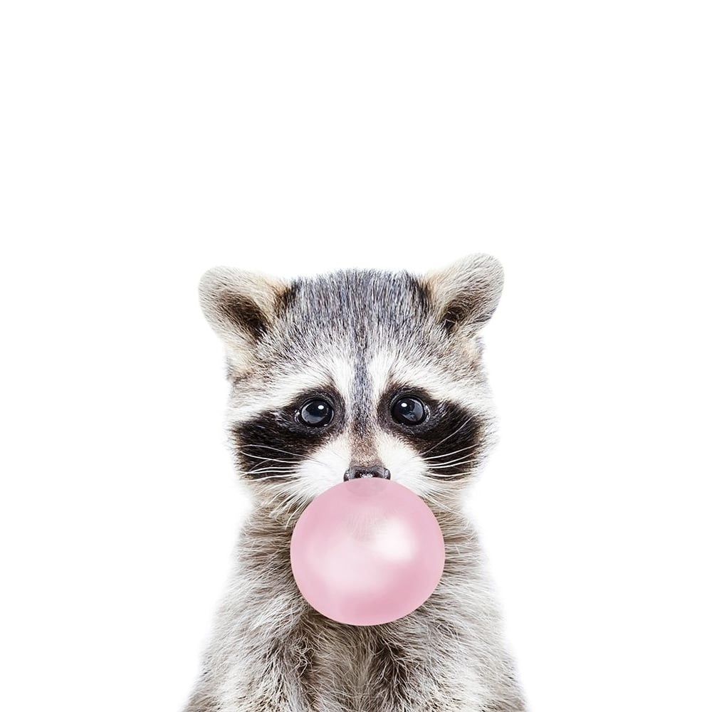 Bubble gum racoon Poster Print - and Seb Sisi-VARPDXSS0082 Image 1